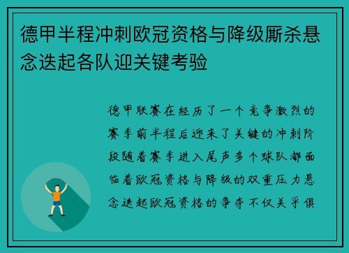 德甲半程冲刺欧冠资格与降级厮杀悬念迭起各队迎关键考验
